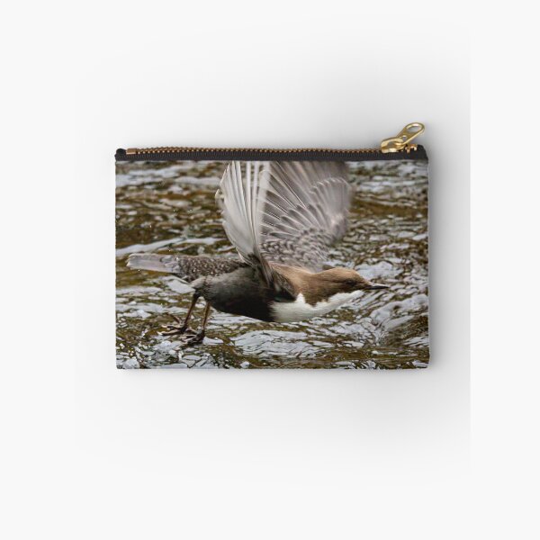 Item preview, Go. White-throated dipper designed and sold by Jouko Lehto Photography.