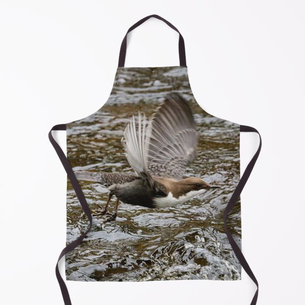 Item preview, Go. White-throated dipper designed and sold by Jouko Lehto Photography.