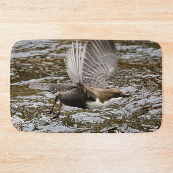 Item preview, Go. White-throated dipper designed and sold by Jouko Lehto Photography.