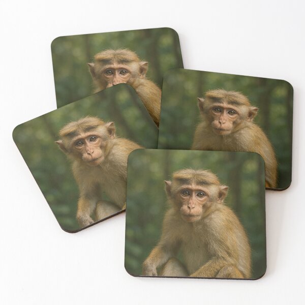 Item preview, Playful Sri Lankan Monkey – Tropical Jungle Wildlife Art designed and sold by Ceylon Luxe Collections.