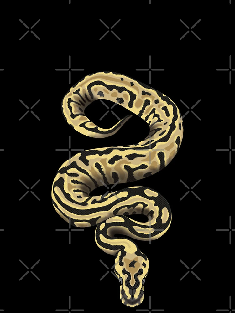 Thumbnail 4 of 4, iPhone Case, Ball python 2 (Python regius) designed and sold by Meowsome91.