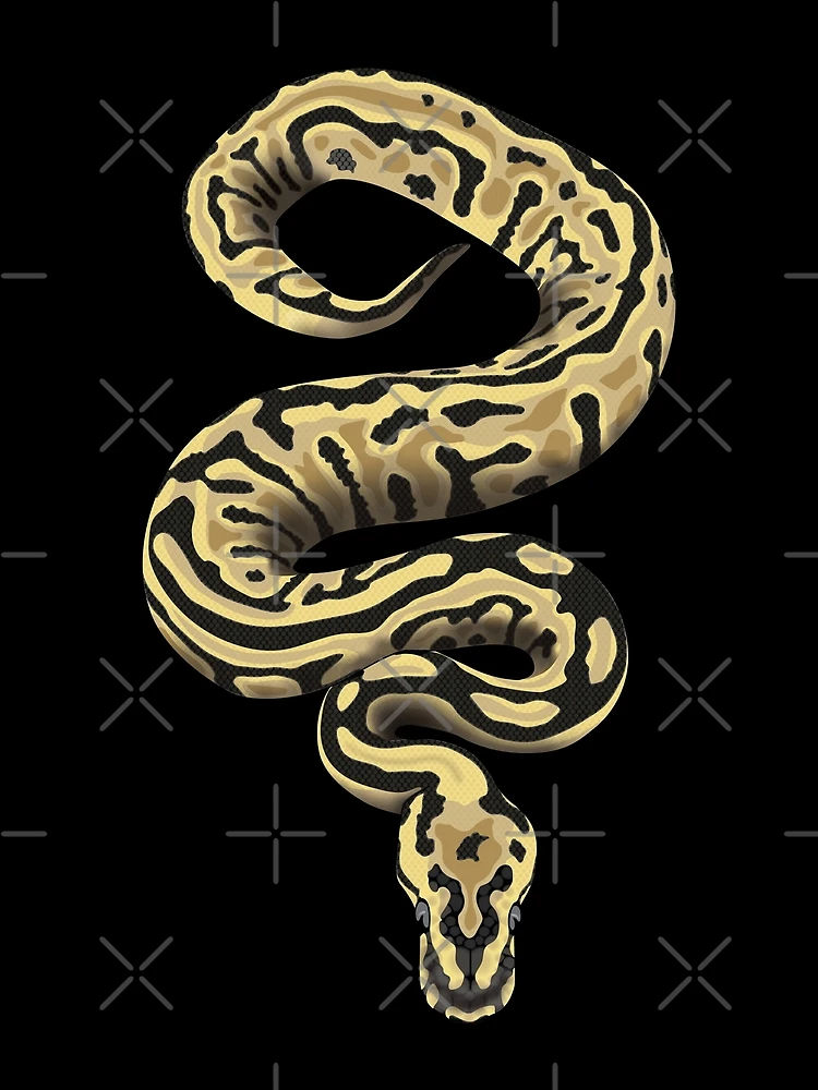 Thumbnail 3 of 3, Scarf, Ball python 2 (Python regius) designed and sold by Meowsome91.