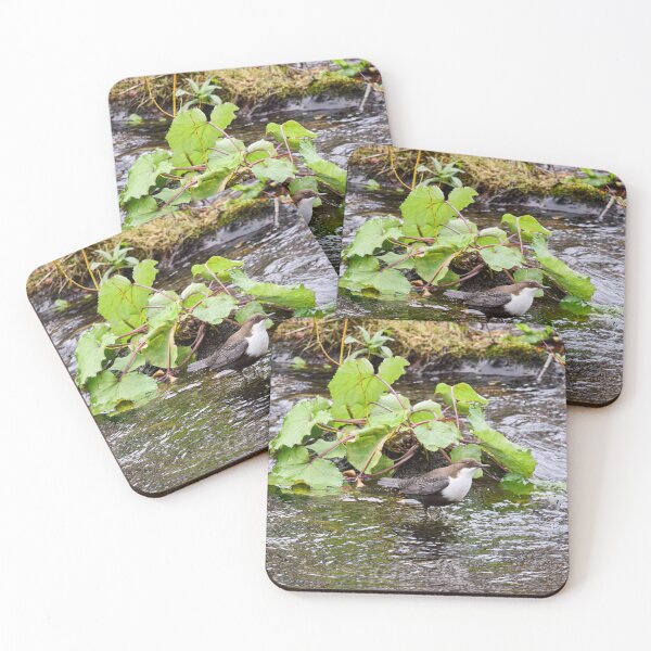 Item preview, Oh those greens. White-throated dipper designed and sold by Jouko Lehto Photography.