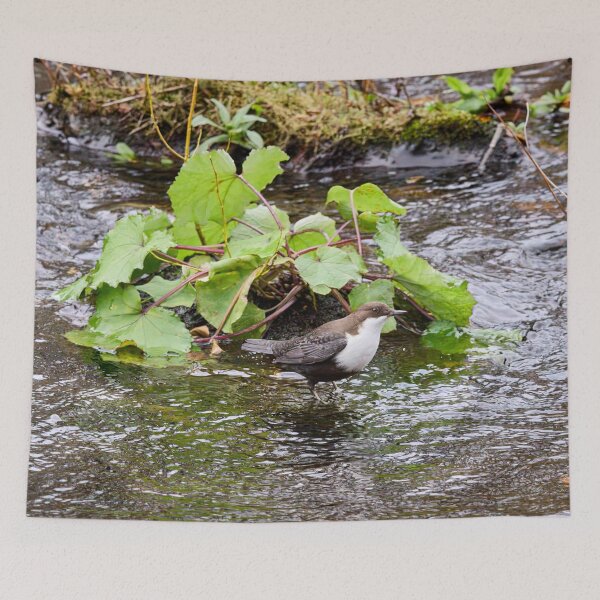 Item preview, Oh those greens. White-throated dipper designed and sold by Jouko Lehto Photography.