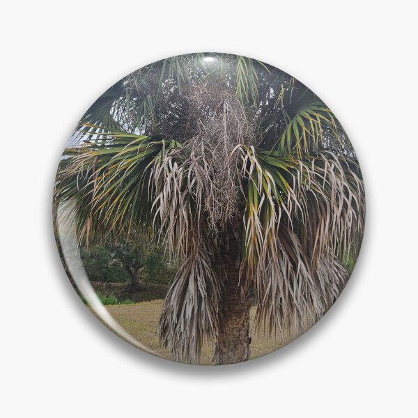 Item preview, Palm Tree  designed and sold by RudyYoder.