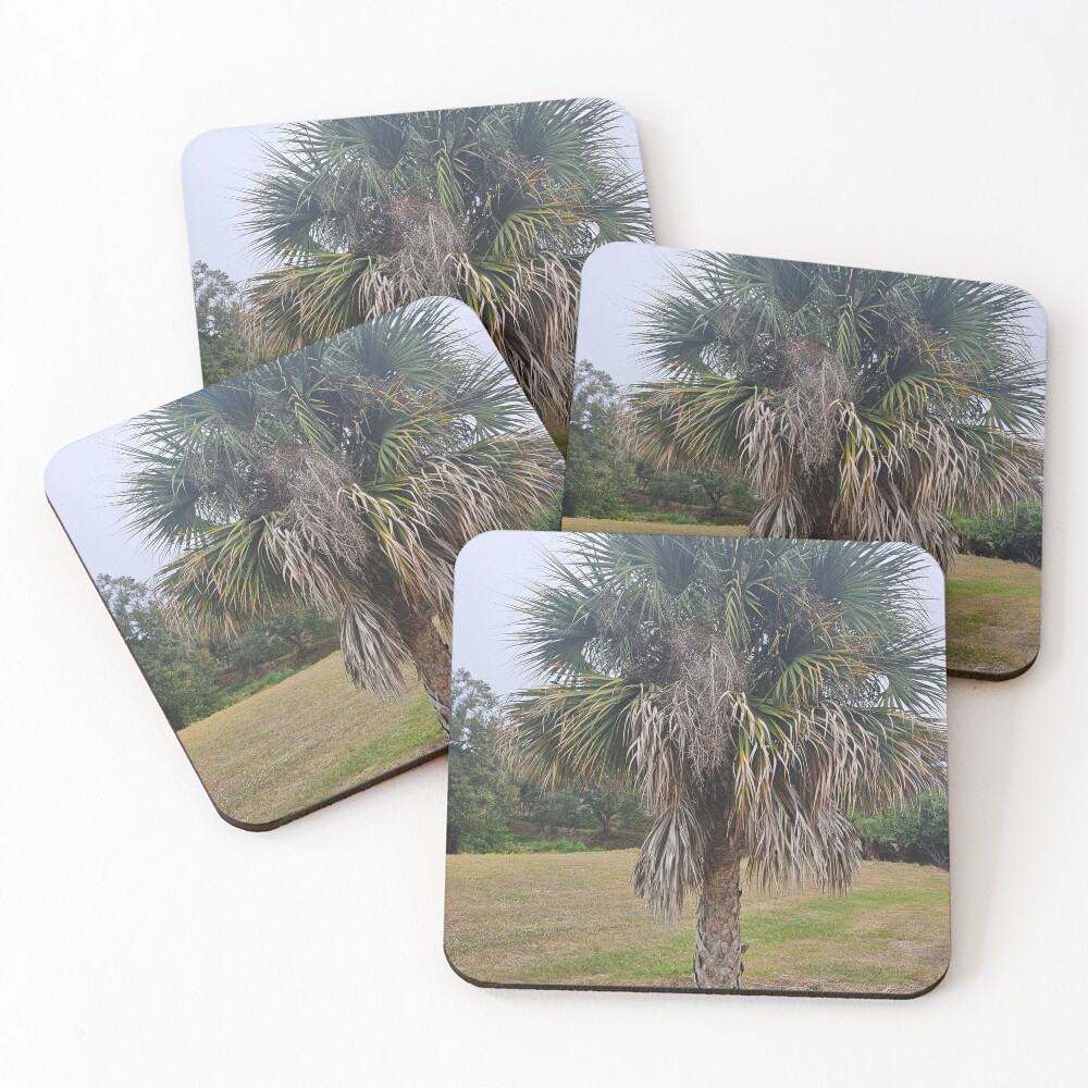 Item preview, Coasters (Set of 4) designed and sold by RudyYoder.
