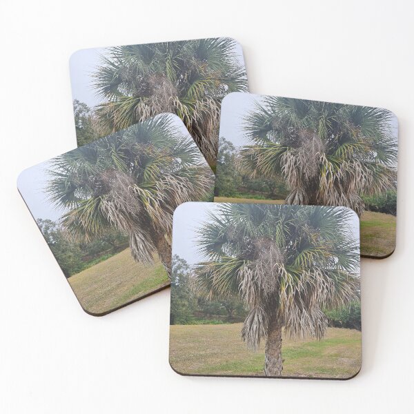 Item preview, Palm Tree  designed and sold by RudyYoder.
