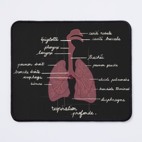 Item preview, Deep Breath – Stylized Respiratory System Illustration designed and sold by Mad-bidouille.