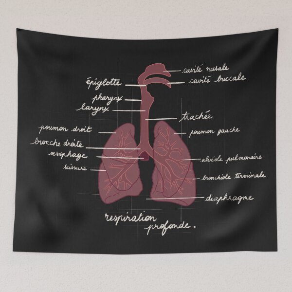 Item preview, Deep Breath – Stylized Respiratory System Illustration designed and sold by Mad-bidouille.