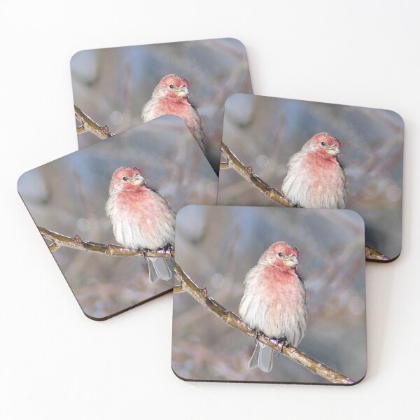 Item preview, Rusty's Wildlife designed and sold by Cheyana Armantrout .