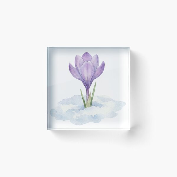 Item preview, Watercolor Purple Crocus Flower Emerging From Snow designed and sold by EverBranz-stor.