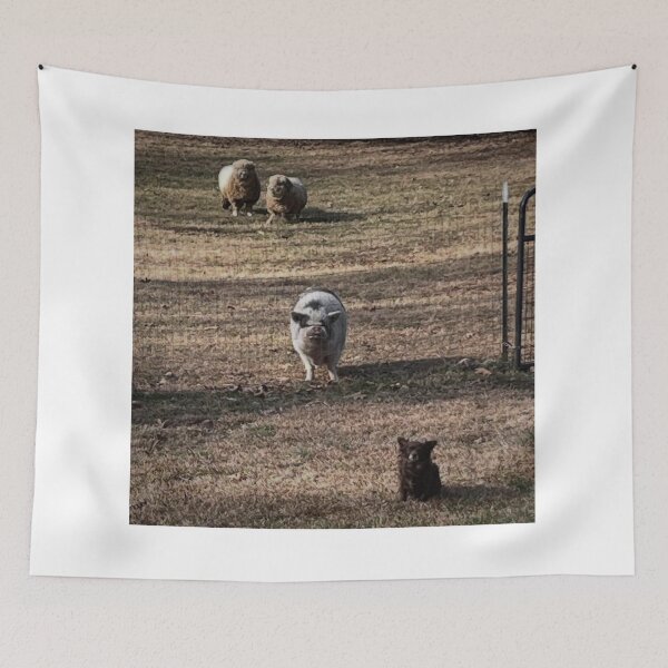 Item preview, Adorable Veltins Kittens Playing designed and sold by Danielaadvant.