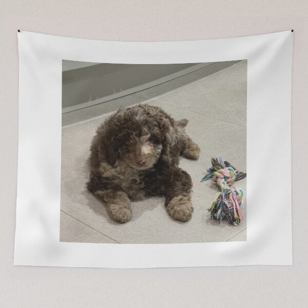 Item preview, Dreamy Cat Nap designed and sold by Danielaadvant.