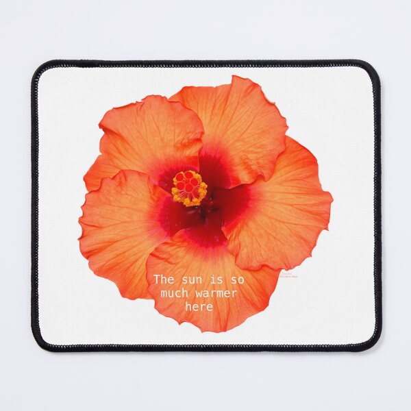 Item preview, The sun is so much warmer here, Hibiscus flower designed and sold by Josephine Ethereal.