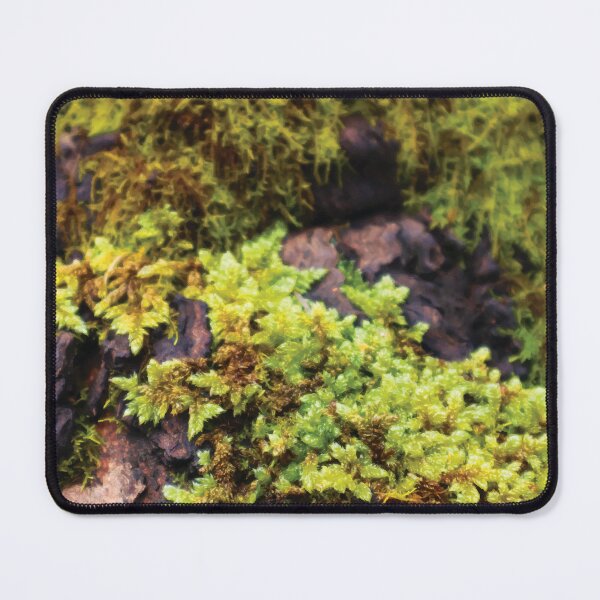Item preview, Club Moss and Pincushion Moss on a Gum Tree Trunk 2 designed and sold by Maddy the Maker.