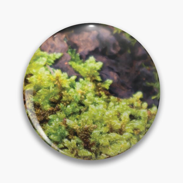 Item preview, Club Moss and Pincushion Moss on a Gum Tree Trunk 2 designed and sold by Maddy the Maker.