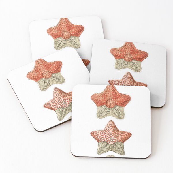 Item preview, Vintage Starfish Illustrations designed and sold by emmadezine.