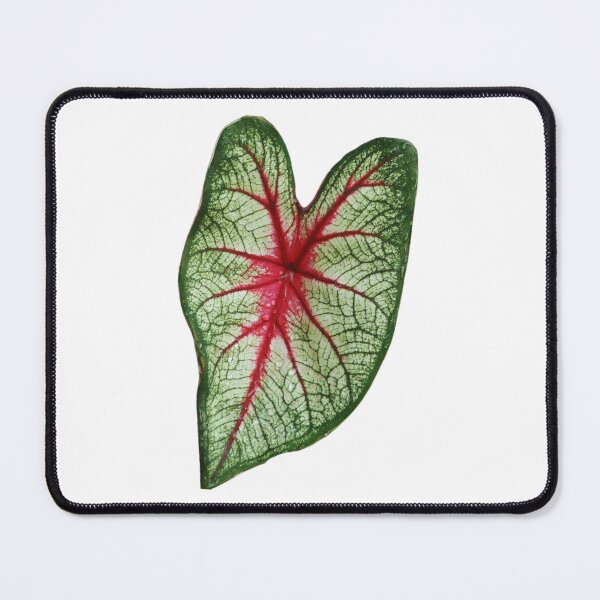 Item preview, Leaf designed and sold by di-Vera-Rosati.