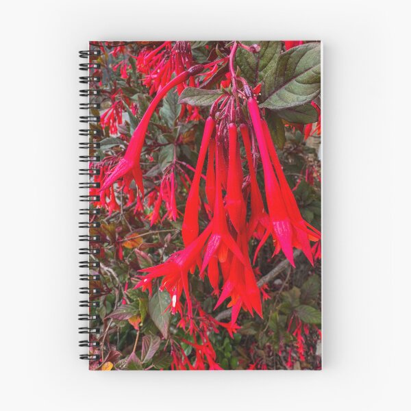 Item preview, Firecracker fuchsia designed and sold by polyhymnia14.