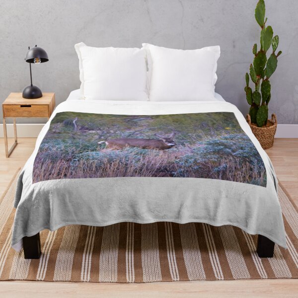 Item preview, Deer in the Sonoran Desert designed and sold by Phakade's Photos.