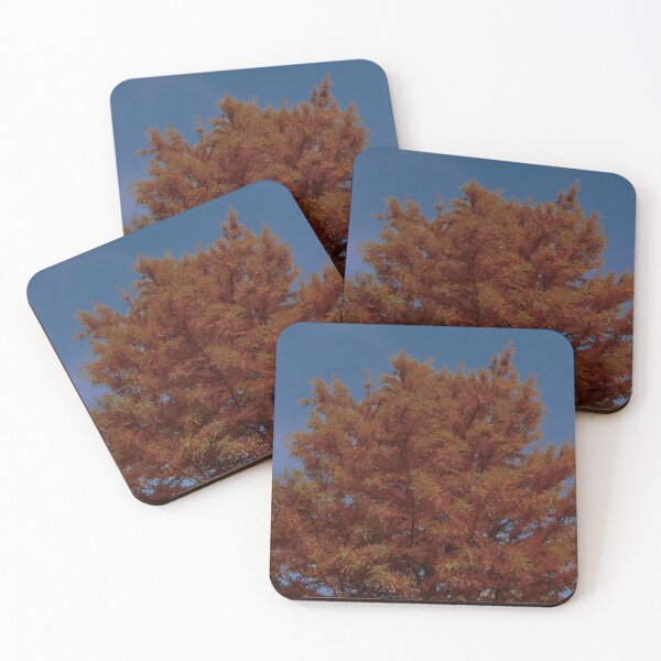 Item preview, Fall Bald Cypress designed and sold by gistinker.