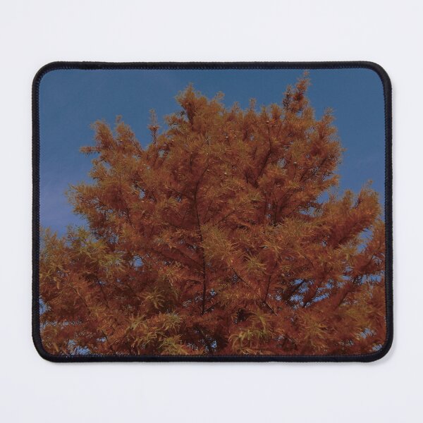 Item preview, Fall Bald Cypress designed and sold by gistinker.