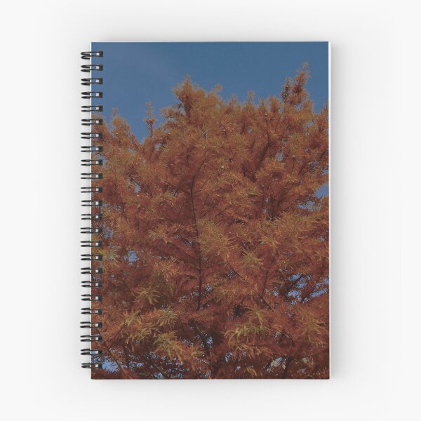 Item preview, Fall Bald Cypress designed and sold by gistinker.