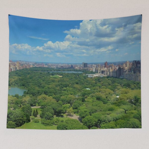 Item preview, Central Park designed and sold by NYConlineStore.
