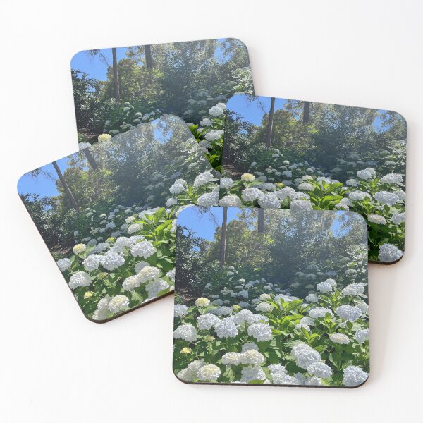 Item preview, White Hydrangea Flowers in a Sunlit Garden designed and sold by Be Captured by Brittany Emma.