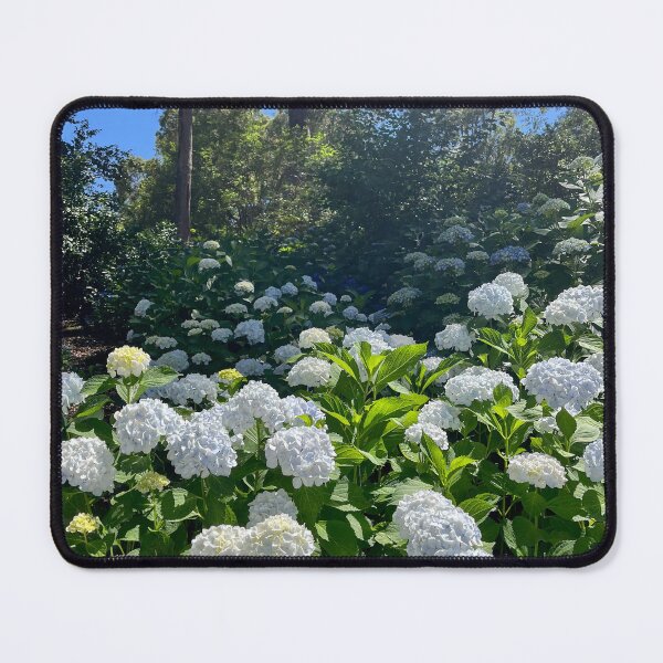 Item preview, White Hydrangea Flowers in a Sunlit Garden designed and sold by Be Captured by Brittany Emma.