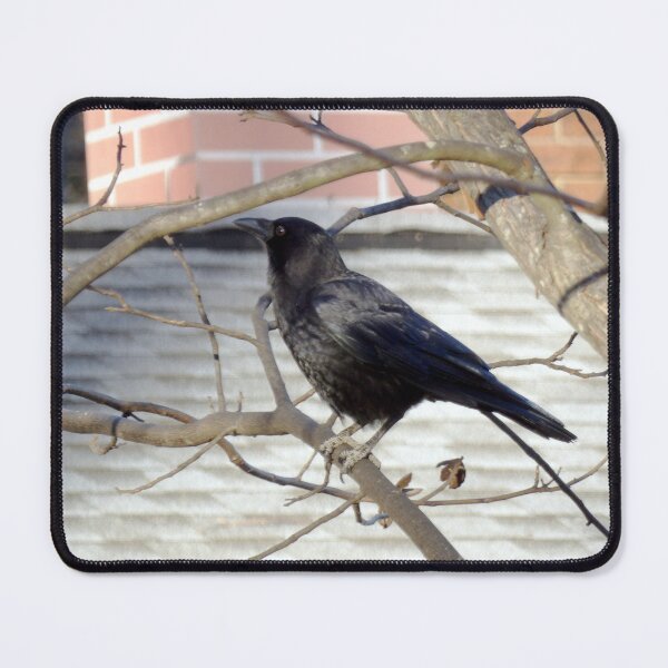 Item preview, Neighborhood Crow designed and sold by gistinker.