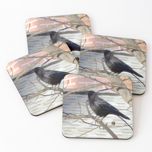 Item preview, Neighborhood Crow designed and sold by gistinker.