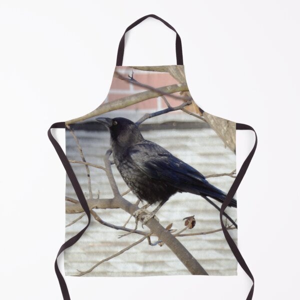 Item preview, Neighborhood Crow designed and sold by gistinker.