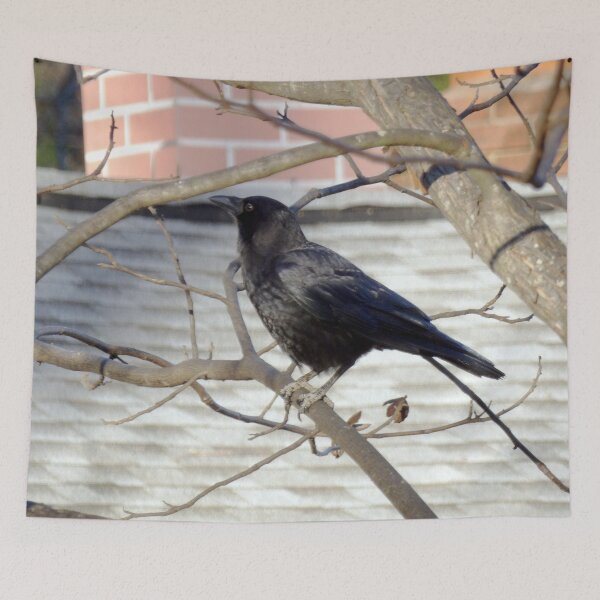 Item preview, Neighborhood Crow designed and sold by gistinker.