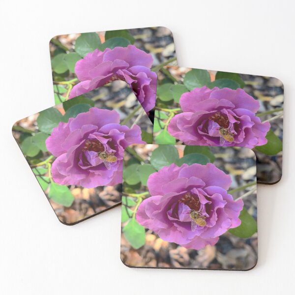 Item preview, Bee Pollinating a Pink Rose in Bloom designed and sold by Be Captured by Brittany Emma.