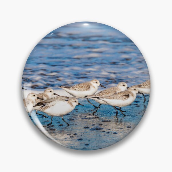 Item preview, Parade of the Least designed and sold by DawsonImages.