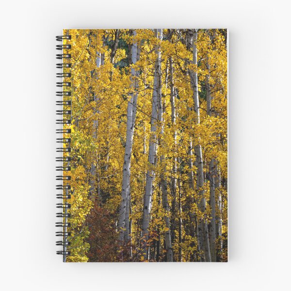 Item preview, Boles of White designed and sold by DawsonImages.