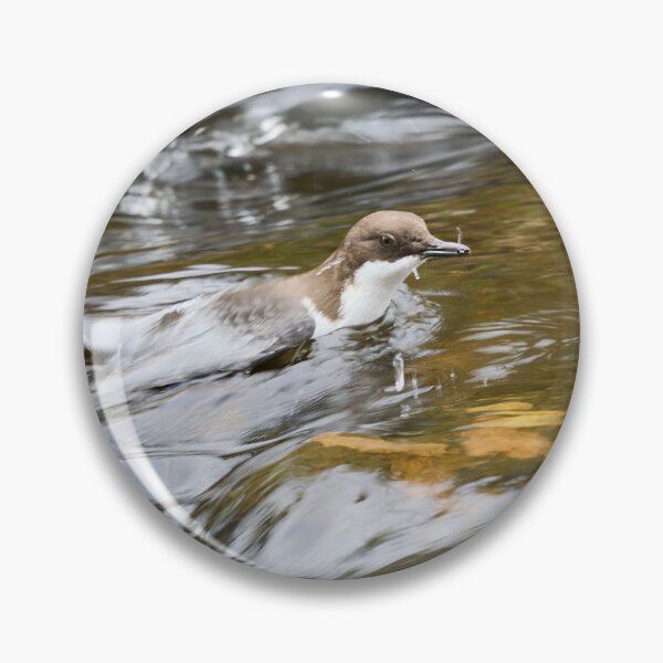 Item preview, End of the dive. White-throated dipper designed and sold by Jouko Lehto Photography.