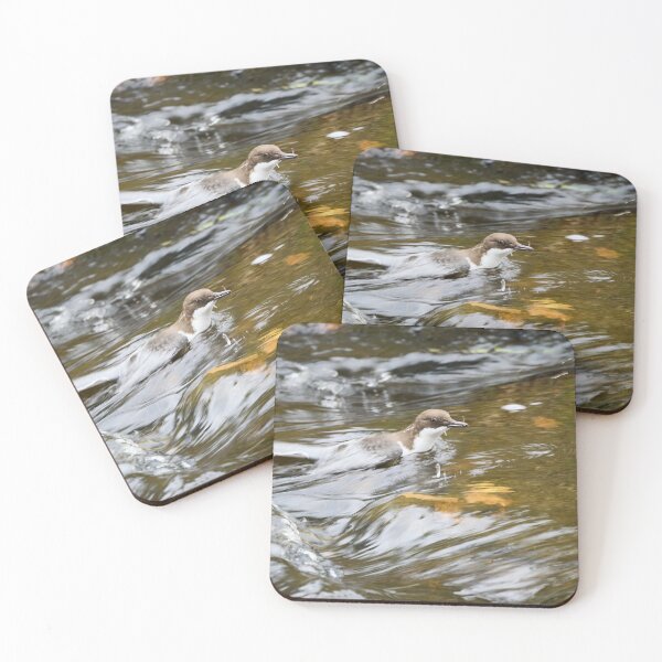 Item preview, End of the dive. White-throated dipper designed and sold by Jouko Lehto Photography.