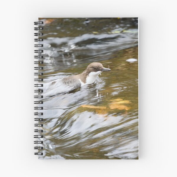 Item preview, End of the dive. White-throated dipper designed and sold by Jouko Lehto Photography.