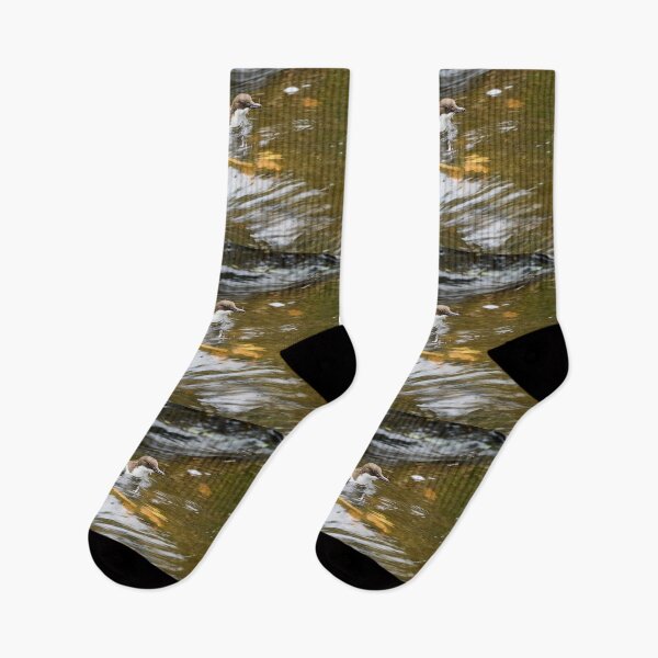 Item preview, End of the dive. White-throated dipper designed and sold by Jouko Lehto Photography.