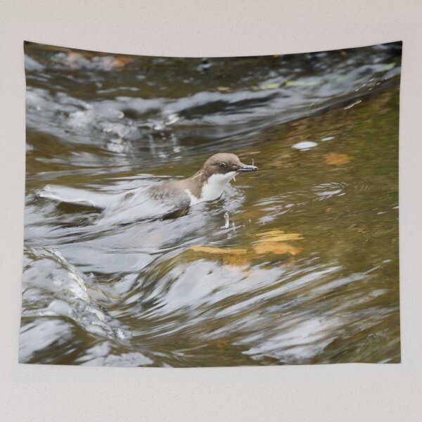 Item preview, End of the dive. White-throated dipper designed and sold by Jouko Lehto Photography.