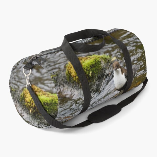 Item preview, What next. White-throated dipper designed and sold by Jouko Lehto Photography.