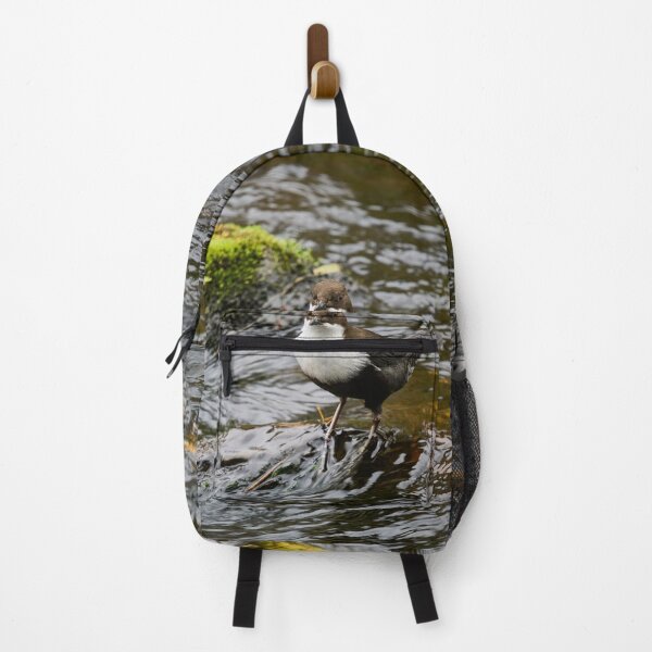 Item preview, What next. White-throated dipper designed and sold by Jouko Lehto Photography.