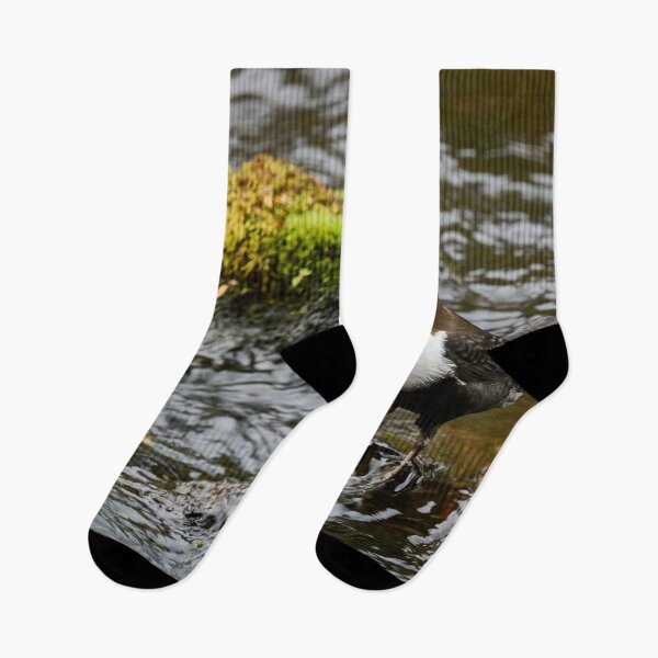 Item preview, What next. White-throated dipper designed and sold by Jouko Lehto Photography.