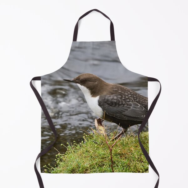 Item preview, Profile. White-throated dipper designed and sold by Jouko Lehto Photography.