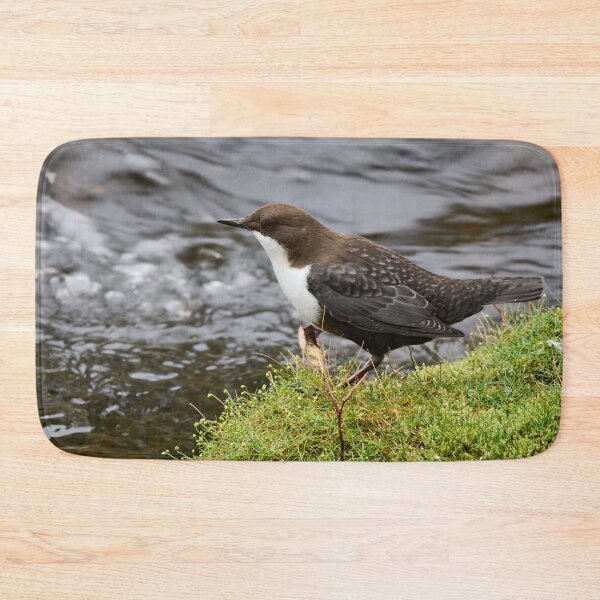 Item preview, Profile. White-throated dipper designed and sold by Jouko Lehto Photography.