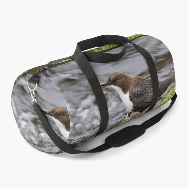 Item preview, Profile. White-throated dipper designed and sold by Jouko Lehto Photography.