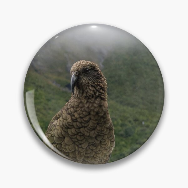 Item preview, The Cheeky Kea: New Zealand’s Famous Alpine Parrot designed and sold by Photogenic Snap.