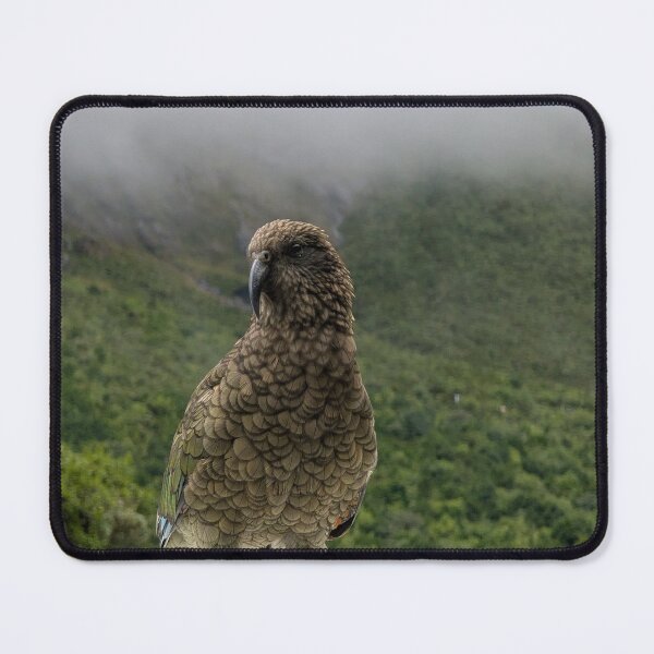 Item preview, The Cheeky Kea: New Zealand’s Famous Alpine Parrot designed and sold by Photogenic Snap.